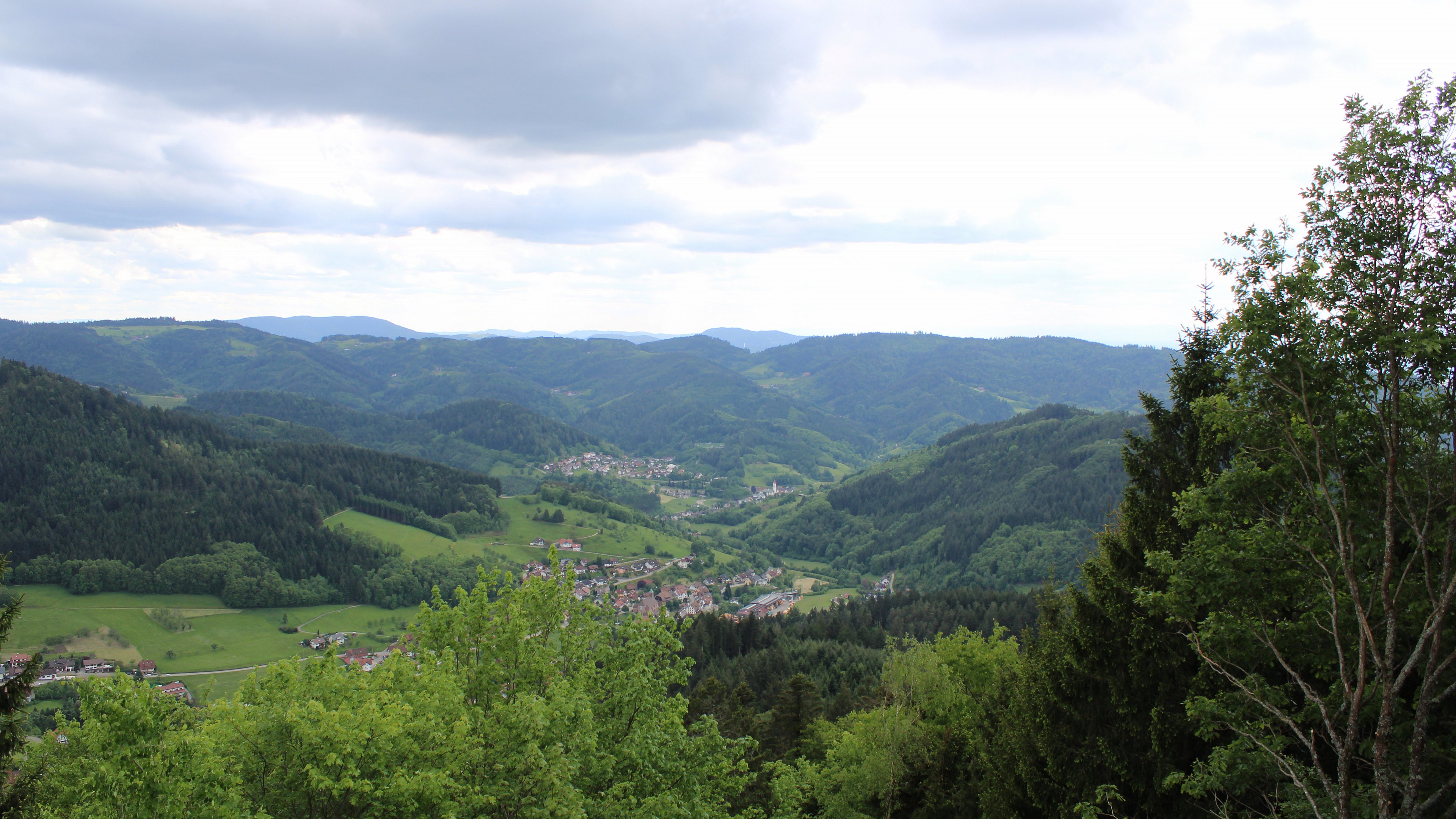 Zum Fotoarchiv vom Dienstag, 12. Mai 2026