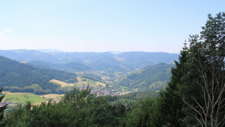 Dieses Bild zeigt eine Webcam-Aufnahme vom Achertal, aufgenommen am Mittwoch, den 24.06.2026 um 12:40 Uhr. Die Temperatur betrug 29.9°C.