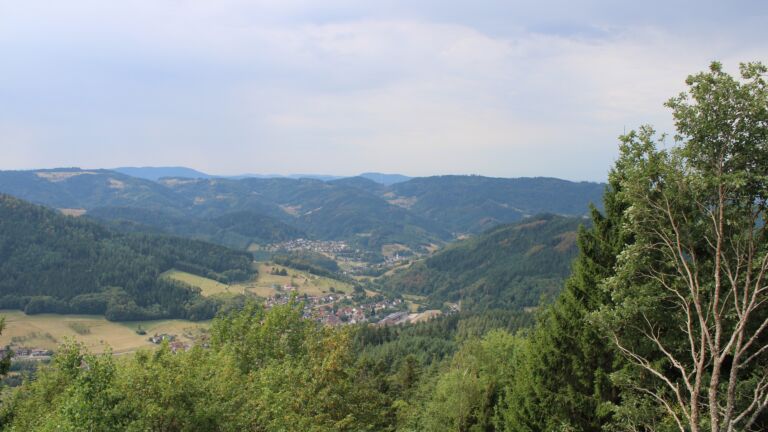 Dieses Bild zeigt eine Webcam-Aufnahme vom Achertal, aufgenommen am Samstag, den 15.08.2026 um 11:50 Uhr. Die Temperatur betrug 28.8°C.