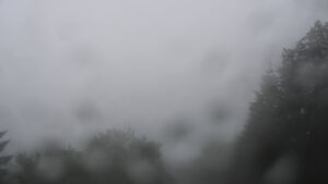 Dieses Bild zeigt eine Webcam-Aufnahme vom Achertal, aufgenommen am Freitag, den 12.06.2026 um 17:00 Uhr. Die Temperatur betrug 12.1°C.