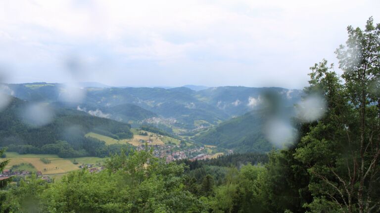 Dieses Bild zeigt eine Webcam-Aufnahme vom Achertal, aufgenommen am Sonntag, den 31.05.2026 um 17:30 Uhr. Die Temperatur betrug 15.3°C.