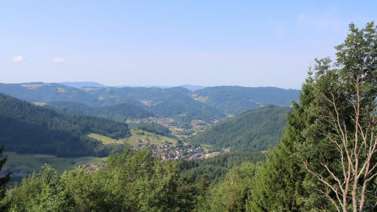 Dieses Bild zeigt eine Webcam-Aufnahme vom Achertal, aufgenommen am Donnerstag, den 16.07.2026 um 10:20 Uhr. Die Temperatur betrug 24.5°C.