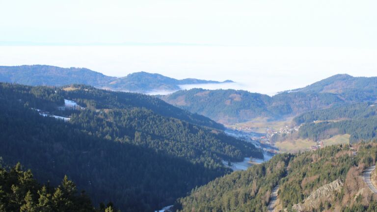 Dieses Bild zeigt eine Webcam-Aufnahme vom Achertal, aufgenommen am Mittwoch, den 21.01.2026 um 11:10 Uhr. Die Temperatur betrug 9.8°C.