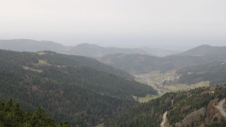 Dieses Bild zeigt eine Webcam-Aufnahme vom Achertal, aufgenommen am Freitag, den 14.11.2025 um 12:30 Uhr. Die Temperatur betrug 16.7°C.