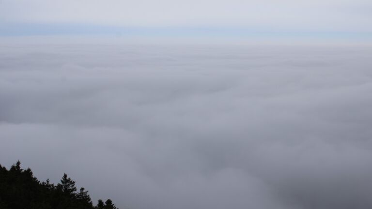 Dieses Bild zeigt eine Webcam-Aufnahme vom Achertal, aufgenommen am Sonntag, den 25.01.2026 um 11:10 Uhr. Die Temperatur betrug 2.3°C.