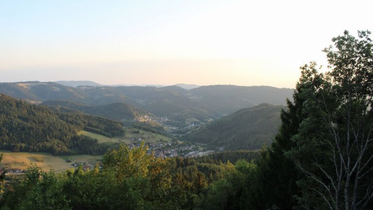 Dieses Bild zeigt eine Webcam-Aufnahme vom Achertal, aufgenommen am Freitag, den 14.08.2026 um 20:10 Uhr. Die Temperatur betrug 31.2°C.