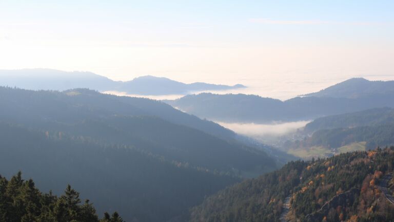 Dieses Bild zeigt eine Webcam-Aufnahme vom Achertal, aufgenommen am Samstag, den 08.11.2025 um 15:20 Uhr. Die Temperatur betrug 10.7°C.