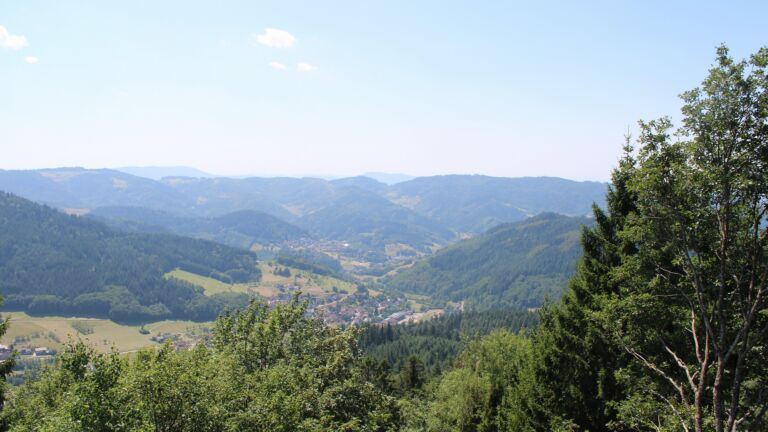 Dieses Bild zeigt eine Webcam-Aufnahme vom Achertal, aufgenommen am Mittwoch, den 29.07.2026 um 13:50 Uhr. Die Temperatur betrug 32.5°C.