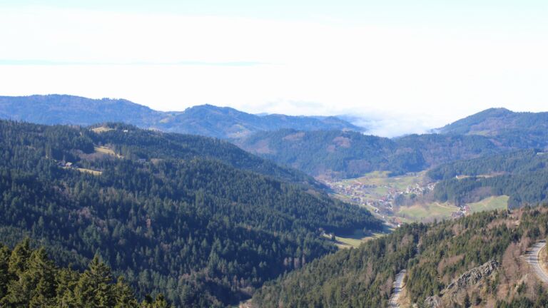 Dieses Bild zeigt eine Webcam-Aufnahme vom Achertal, aufgenommen am Mittwoch, den 25.02.2026 um 13:00 Uhr. Die Temperatur betrug 12.6°C.