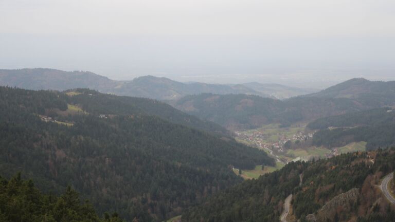 Dieses Bild zeigt eine Webcam-Aufnahme vom Achertal, aufgenommen am Samstag, den 15.11.2025 um 08:40 Uhr. Die Temperatur betrug 12°C.