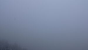 Dieses Bild zeigt eine Webcam-Aufnahme vom Achertal, aufgenommen am Montag, den 24.11.2025 um 14:50 Uhr. Die Temperatur betrug 0.3°C.