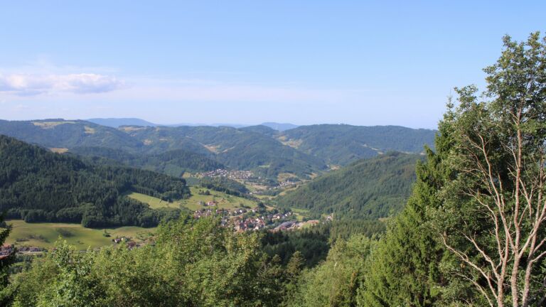 Dieses Bild zeigt eine Webcam-Aufnahme vom Achertal, aufgenommen am Montag, den 20.07.2026 um 10:20 Uhr. Die Temperatur betrug 17°C.