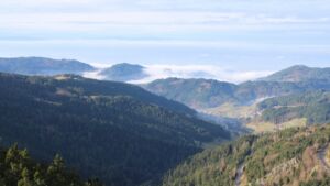 Dieses Bild zeigt eine Webcam-Aufnahme vom Achertal, aufgenommen am Samstag, den 20.12.2025 um 11:50 Uhr. Die Temperatur betrug 8.9°C.