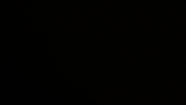 Dieses Bild zeigt eine Webcam-Aufnahme vom Achertal, aufgenommen am Mittwoch, den 11.02.2026 um 06:00 Uhr. Die Temperatur betrug 4.3°C.