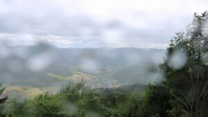 Dieses Bild zeigt eine Webcam-Aufnahme vom Achertal, aufgenommen am Mittwoch, den 03.06.2026 um 15:20 Uhr. Die Temperatur betrug 11.6°C.