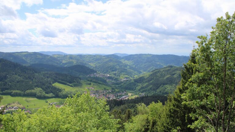 Dieses Bild zeigt eine Webcam-Aufnahme vom Achertal, aufgenommen am Dienstag, den 12.05.2026 um 13:50 Uhr. Die Temperatur betrug 6.5°C.
