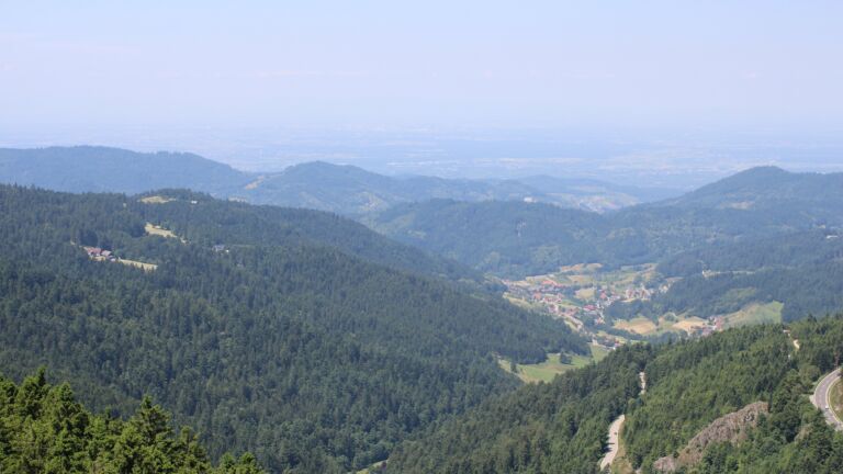 Dieses Bild zeigt eine Webcam-Aufnahme vom Achertal, aufgenommen am Mittwoch, den 18.06.2025 um 12:30 Uhr. Die Temperatur betrug 20.2°C.