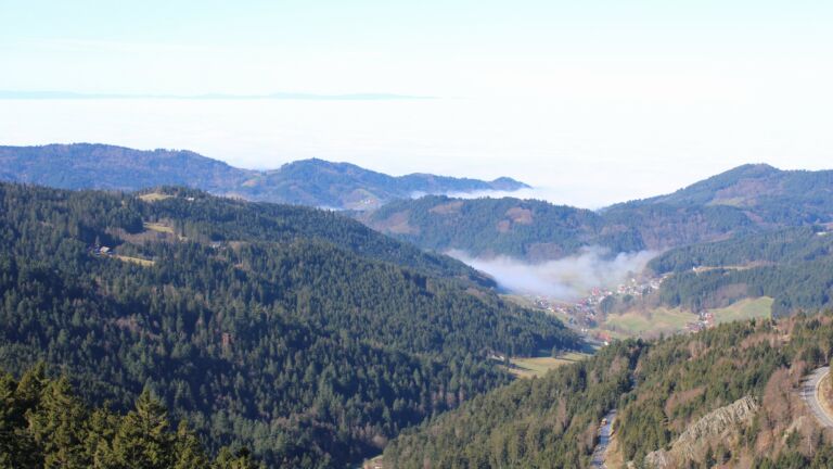 Dieses Bild zeigt eine Webcam-Aufnahme vom Achertal, aufgenommen am Mittwoch, den 25.02.2026 um 11:20 Uhr. Die Temperatur betrug 12.1°C.