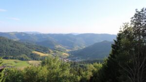 Dieses Bild zeigt eine Webcam-Aufnahme vom Achertal, aufgenommen am Mittwoch, den 17.06.2026 um 19:50 Uhr. Die Temperatur betrug 27.7°C.