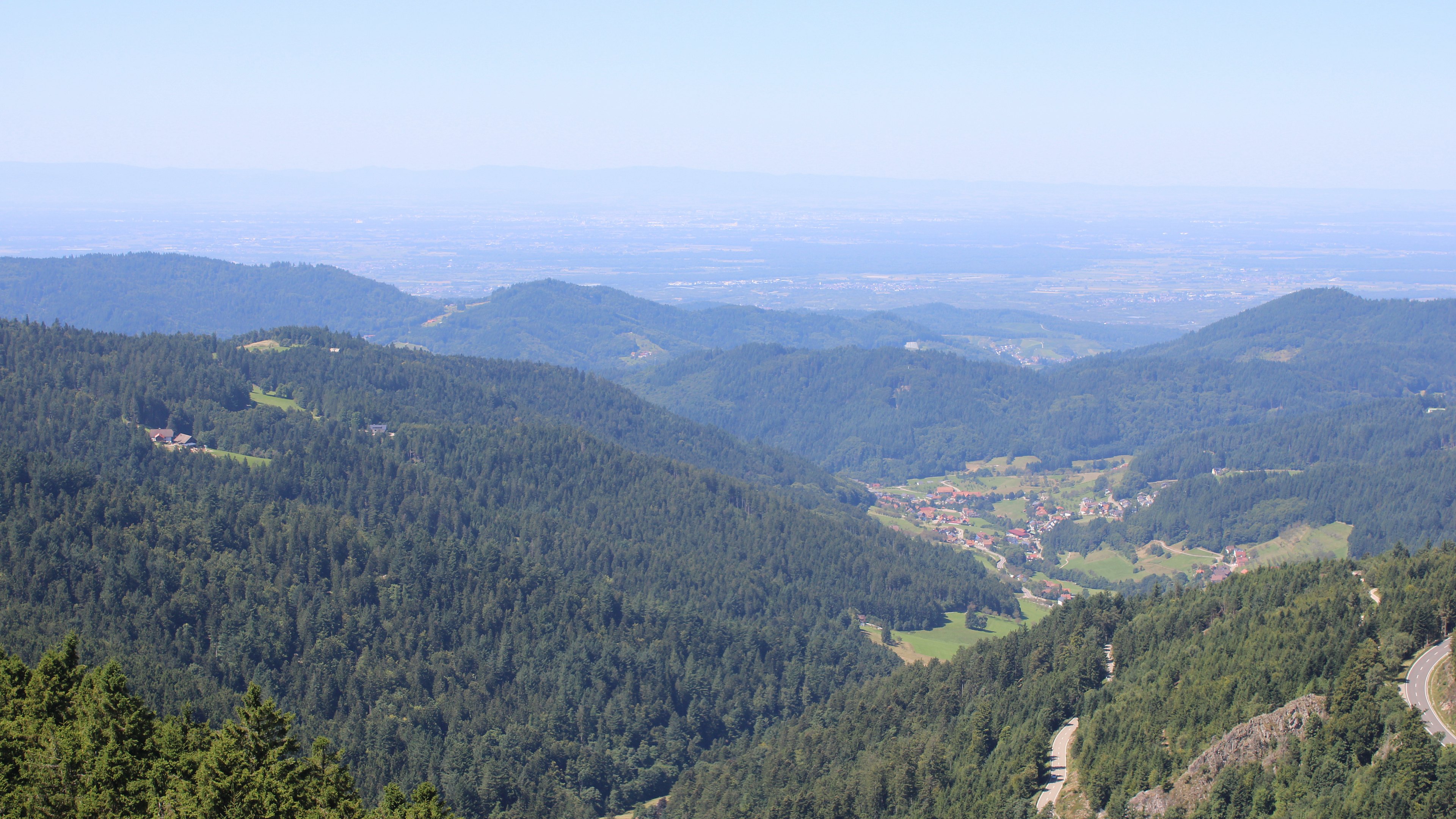 Zum Fotoarchiv vom Freitag, 8. August 2025