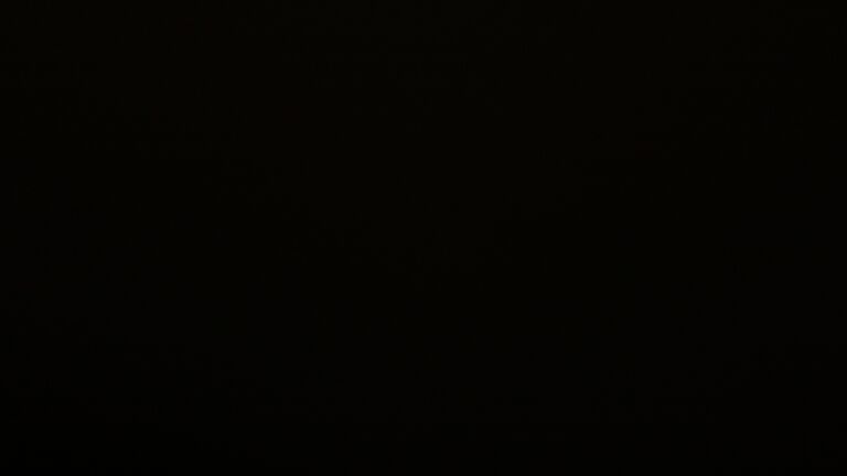 Dieses Bild zeigt eine Webcam-Aufnahme vom Achertal, aufgenommen am Mittwoch, den 11.02.2026 um 20:00 Uhr. Die Temperatur betrug 3.4°C.