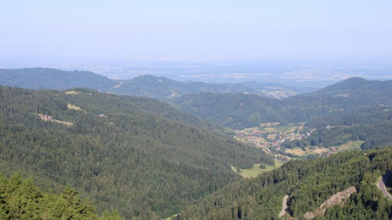 Dieses Bild zeigt eine Webcam-Aufnahme vom Achertal, aufgenommen am Mittwoch, den 18.06.2025 um 08:50 Uhr. Die Temperatur betrug 19°C.