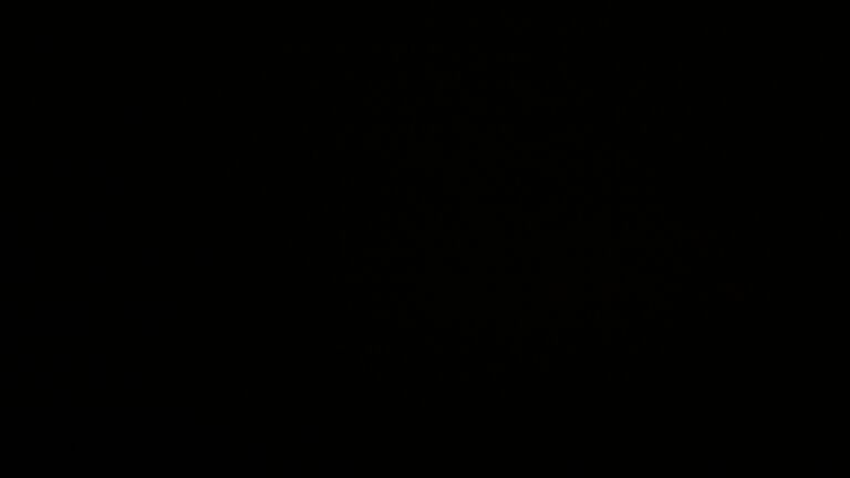 Dieses Bild zeigt eine Webcam-Aufnahme vom Achertal, aufgenommen am Mittwoch, den 22.10.2025 um 20:30 Uhr. Die Temperatur betrug 10.6°C.