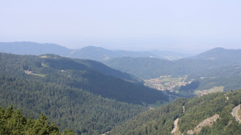 Dieses Bild zeigt eine Webcam-Aufnahme vom Achertal, aufgenommen am Freitag, den 15.08.2025 um 10:50 Uhr. Die Temperatur betrug 29.1°C.