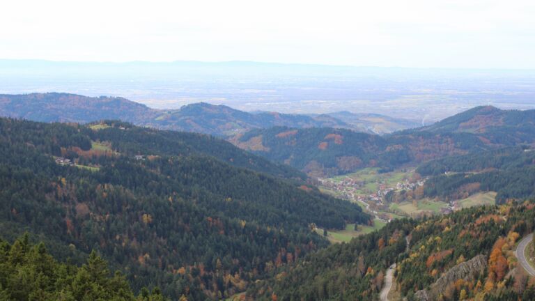 Dieses Bild zeigt eine Webcam-Aufnahme vom Achertal, aufgenommen am Mittwoch, den 29.10.2025 um 13:10 Uhr. Die Temperatur betrug 11.6°C.