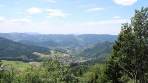 Dieses Bild zeigt eine Webcam-Aufnahme vom Achertal, aufgenommen am Mittwoch, den 17.06.2026 um 13:50 Uhr. Die Temperatur betrug 24.8°C.