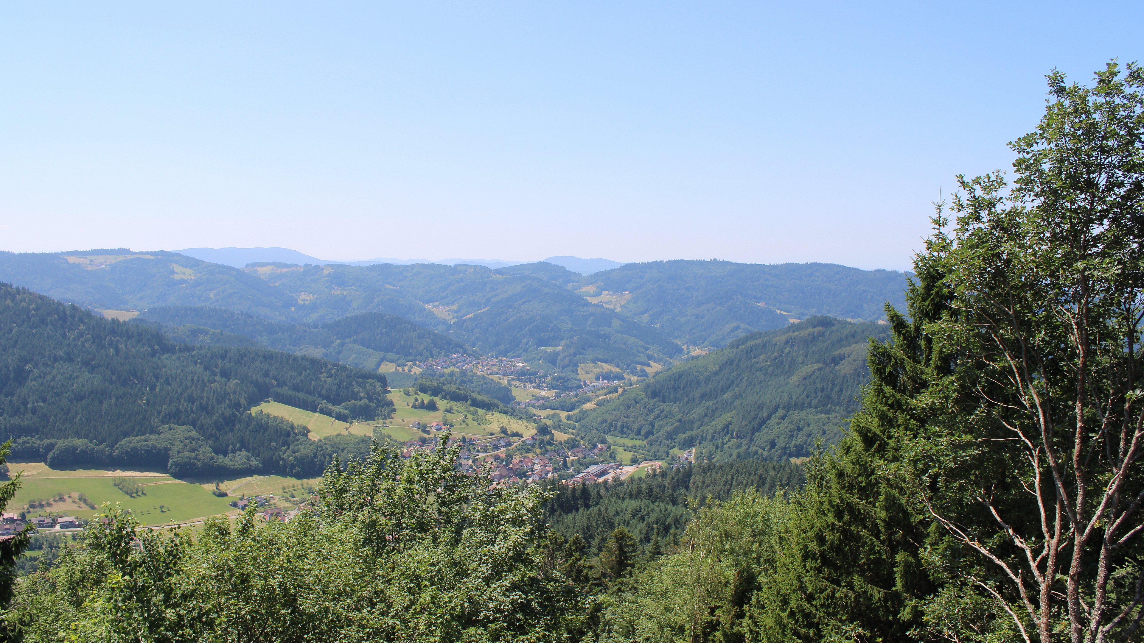Zum Fotoarchiv vom Donnerstag, 9. Juli 2026