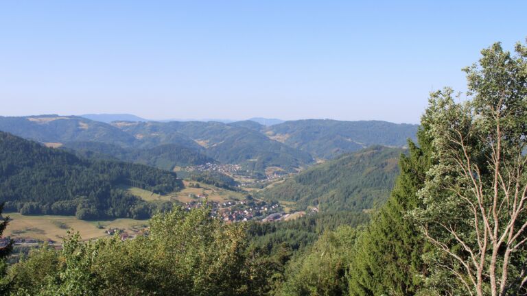 Dieses Bild zeigt eine Webcam-Aufnahme vom Achertal, aufgenommen am Dienstag, den 11.08.2026 um 09:40 Uhr. Die Temperatur betrug 24.7°C.