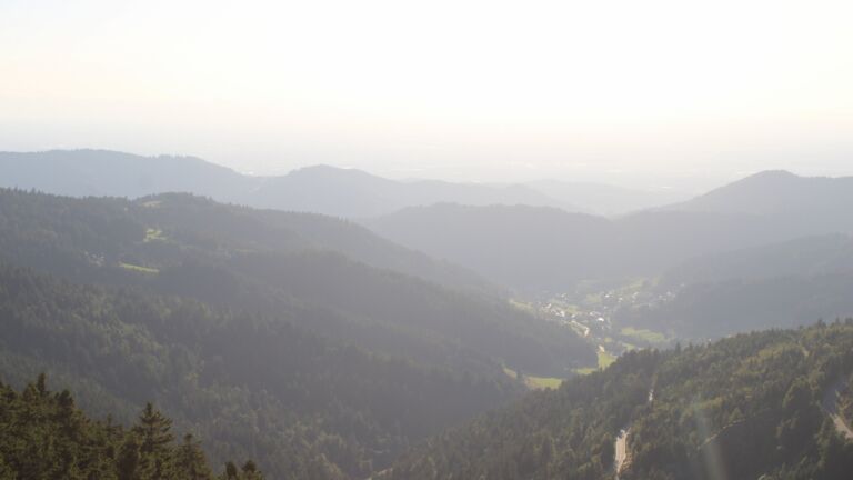 Dieses Bild zeigt eine Webcam-Aufnahme vom Achertal, aufgenommen am Freitag, den 08.08.2025 um 19:30 Uhr. Die Temperatur betrug 23.9°C.