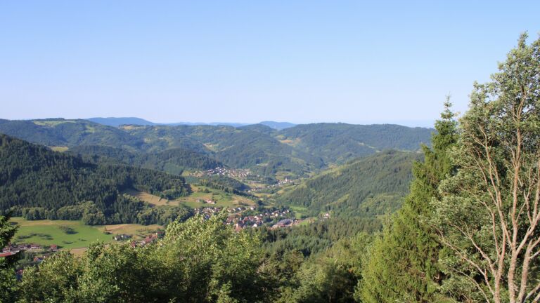 Dieses Bild zeigt eine Webcam-Aufnahme vom Achertal, aufgenommen am Samstag, den 20.06.2026 um 08:20 Uhr. Die Temperatur betrug 25.8°C.