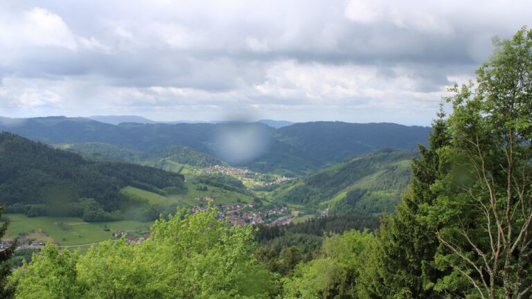 Dieses Bild zeigt eine Webcam-Aufnahme vom Achertal, aufgenommen am Dienstag, den 12.05.2026 um 11:10 Uhr. Die Temperatur betrug 2.9°C.