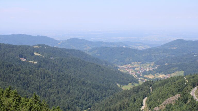 Dieses Bild zeigt eine Webcam-Aufnahme vom Achertal, aufgenommen am Mittwoch, den 18.06.2025 um 12:00 Uhr. Die Temperatur betrug 19.6°C.