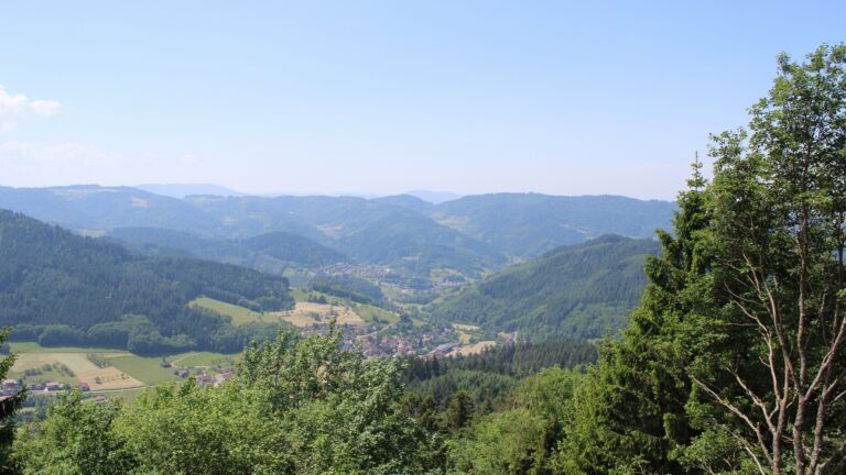 Dieses Bild zeigt eine Webcam-Aufnahme vom Achertal, aufgenommen am Mittwoch, den 27.05.2026 um 12:50 Uhr. Die Temperatur betrug 26.9°C.