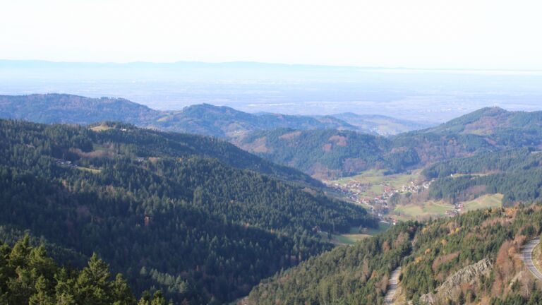 Dieses Bild zeigt eine Webcam-Aufnahme vom Achertal, aufgenommen am Mittwoch, den 12.11.2025 um 11:30 Uhr. Die Temperatur betrug 13.1°C.