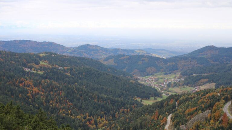 Dieses Bild zeigt eine Webcam-Aufnahme vom Achertal, aufgenommen am Freitag, den 17.10.2025 um 11:50 Uhr. Die Temperatur betrug 7.4°C.