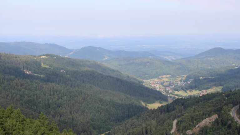 Dieses Bild zeigt eine Webcam-Aufnahme vom Achertal, aufgenommen am Freitag, den 11.07.2025 um 09:00 Uhr. Die Temperatur betrug 17.2°C.