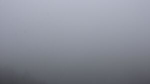 Dieses Bild zeigt eine Webcam-Aufnahme vom Achertal, aufgenommen am Samstag, den 06.12.2025 um 12:20 Uhr. Die Temperatur betrug 3°C.