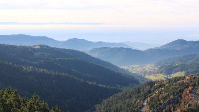 Dieses Bild zeigt eine Webcam-Aufnahme vom Achertal, aufgenommen am Donnerstag, den 06.11.2025 um 15:20 Uhr. Die Temperatur betrug 14.7°C.