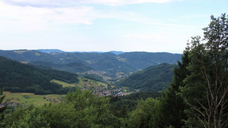 Dieses Bild zeigt eine Webcam-Aufnahme vom Achertal, aufgenommen am Dienstag, den 14.07.2026 um 08:50 Uhr. Die Temperatur betrug 18°C.