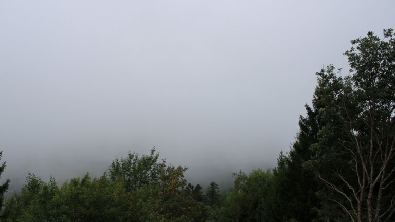 Dieses Bild zeigt eine Webcam-Aufnahme vom Achertal, aufgenommen am Donnerstag, den 20.08.2026 um 13:50 Uhr. Die Temperatur betrug 16.3°C.