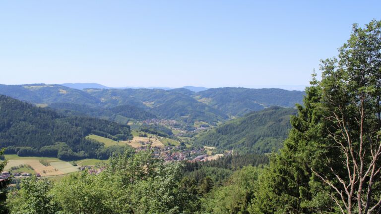 Dieses Bild zeigt eine Webcam-Aufnahme vom Achertal, aufgenommen am Freitag, den 29.05.2026 um 12:10 Uhr. Die Temperatur betrug 23.3°C.