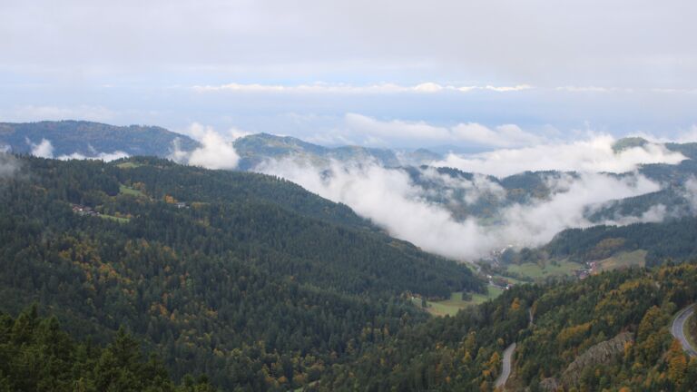 Dieses Bild zeigt eine Webcam-Aufnahme vom Achertal, aufgenommen am Donnerstag, den 09.10.2025 um 10:40 Uhr. Die Temperatur betrug 7.4°C.