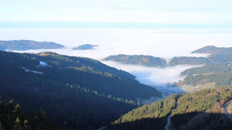 Dieses Bild zeigt eine Webcam-Aufnahme vom Achertal, aufgenommen am Donnerstag, den 05.02.2026 um 09:30 Uhr. Die Temperatur betrug 5.8°C.