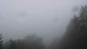 Dieses Bild zeigt eine Webcam-Aufnahme vom Achertal, aufgenommen am Mittwoch, den 01.07.2026 um 07:10 Uhr. Die Temperatur betrug 16.6°C.