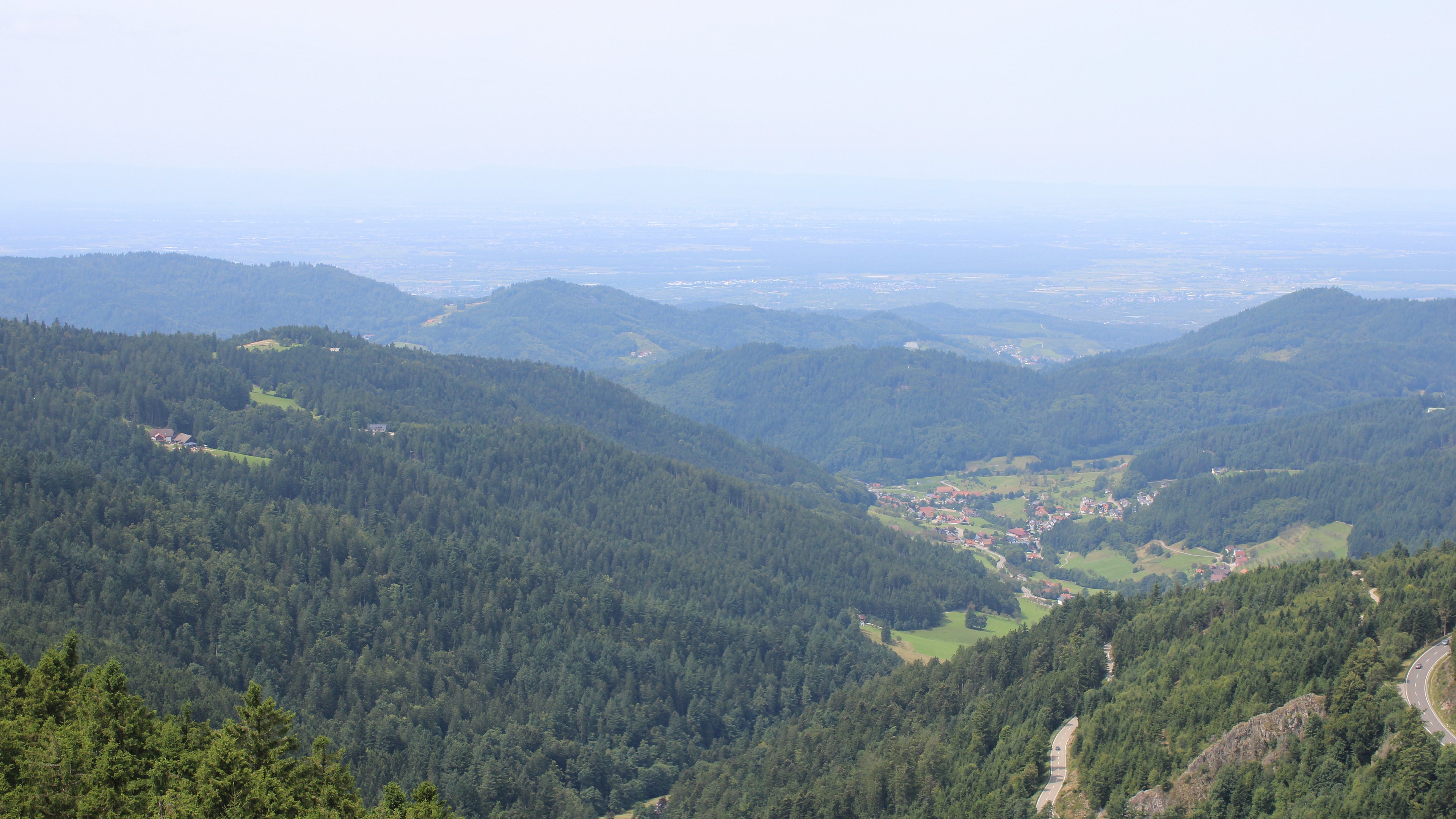 Zum Fotoarchiv vom Mittwoch, 6. August 2025