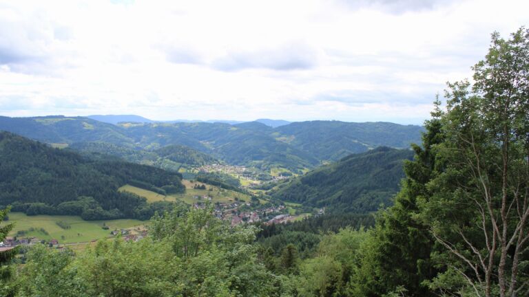 Dieses Bild zeigt eine Webcam-Aufnahme vom Achertal, aufgenommen am Donnerstag, den 11.06.2026 um 14:00 Uhr. Die Temperatur betrug 11.9°C.